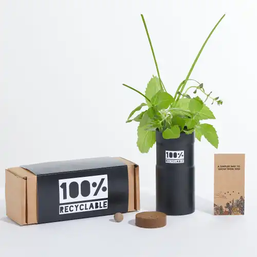 Desktop Garden Black Aluminium Boxed Set of Three